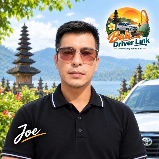 Joe — Bali Driver Link driver